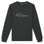 Charcoal Dark Heather Grey Unisex Sweatshirt. Round crew neck long sleeves with cuffs and white slogan design French phrase C'est Magnifique 